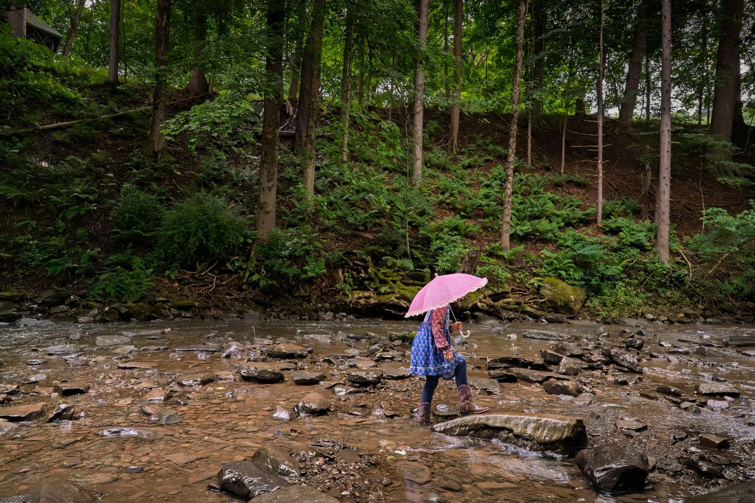 Person with pink umbrella crossing rocky stream in lush green forest during rain.