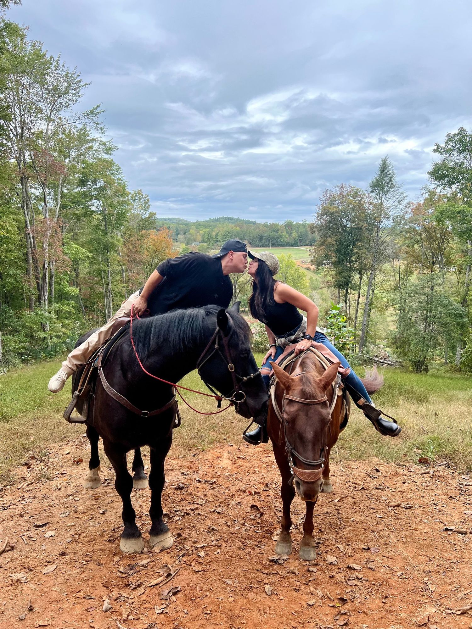 Two draft horses stand side by side on a dirt path surrounded by trees and cloudy skies.