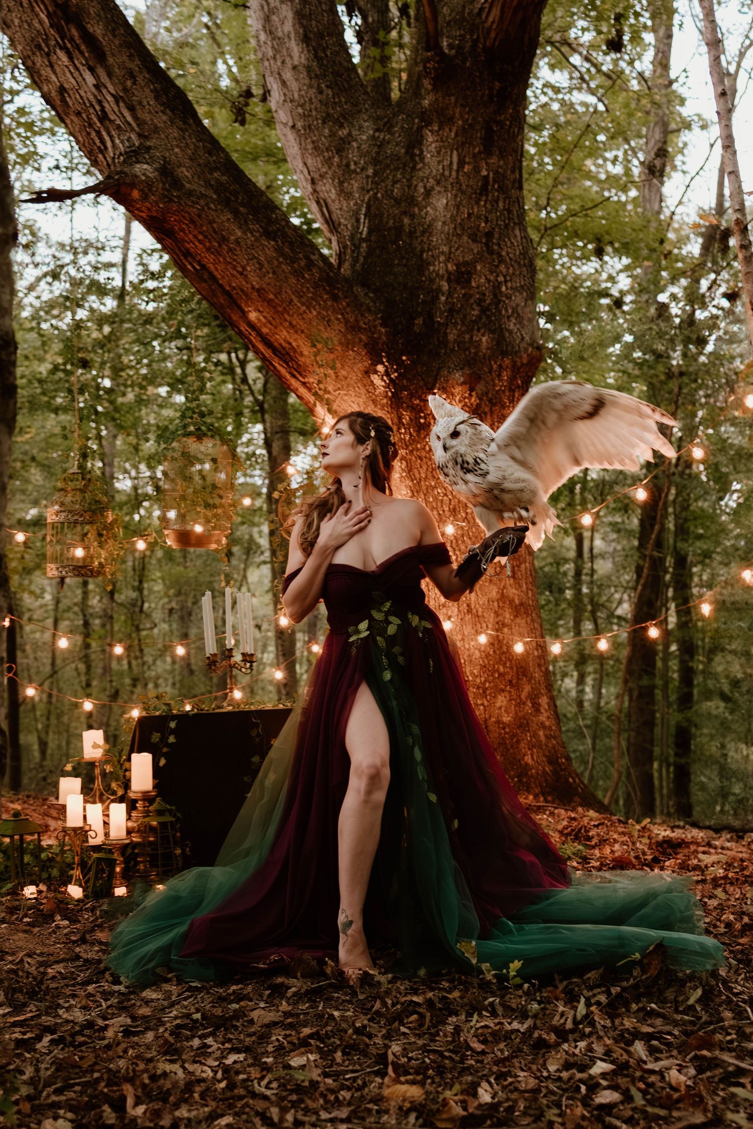 Custom photography mentoring tailored to your goals for photographers in Tennessee, Clarksville, Nashville, and beyond.