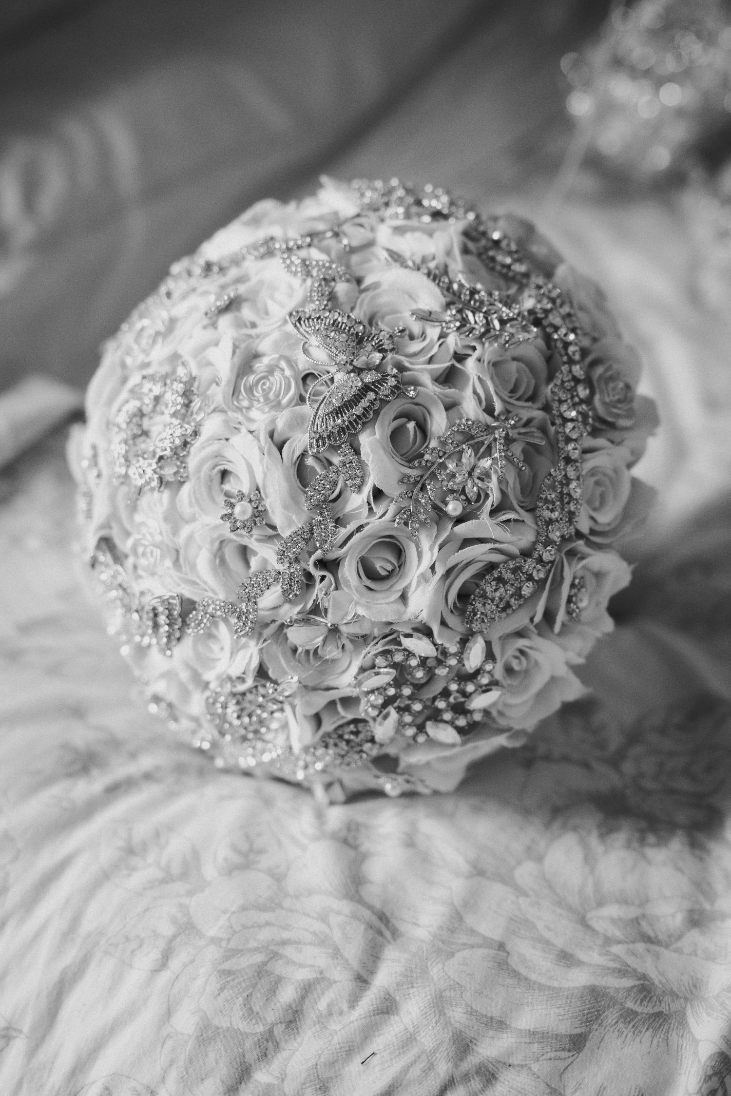 Fotografías: quince años, bodas, Danbury CT, NY, Connecticut, Nueva York.