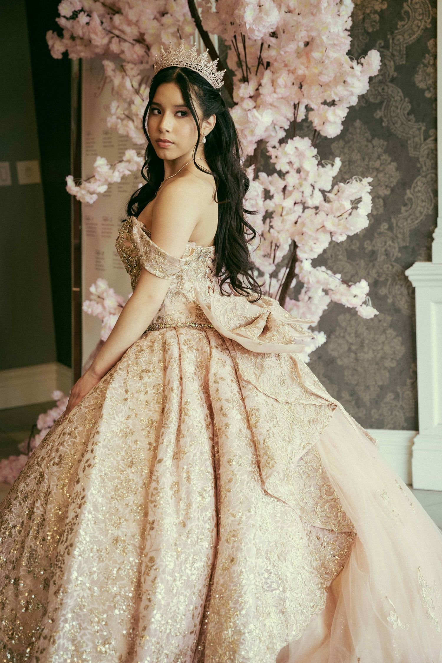 Fotografías: quince años, bodas, Danbury CT, NY, Connecticut, Nueva York.