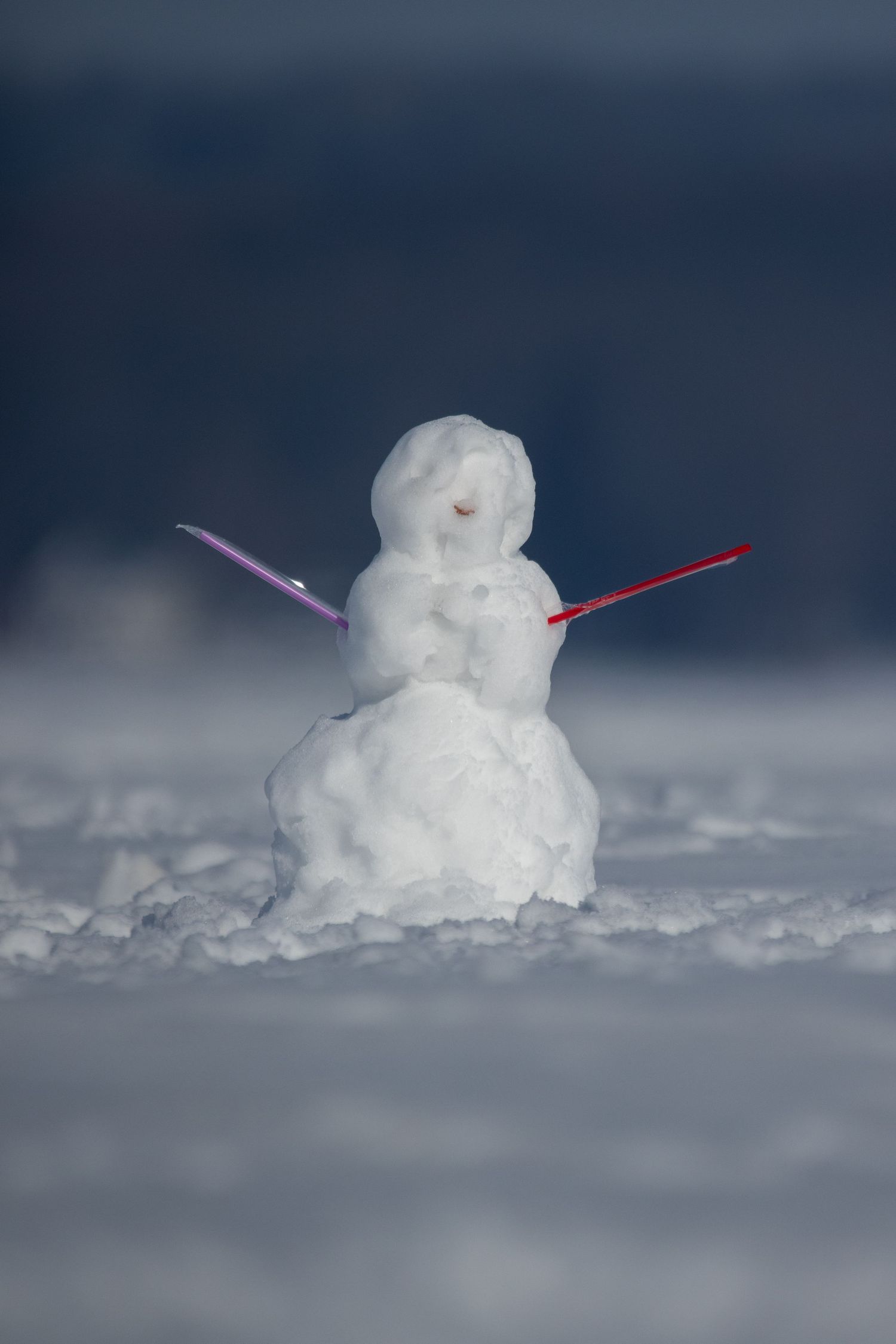 A tiny snowman with colorful stick arms stands in a snowy winter landscape.