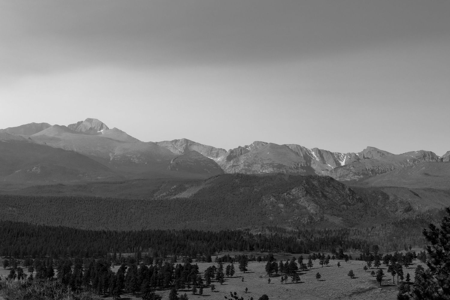 Black and white landscape photo of Rocky Mountain peaks with dense pine forest in the foreground.