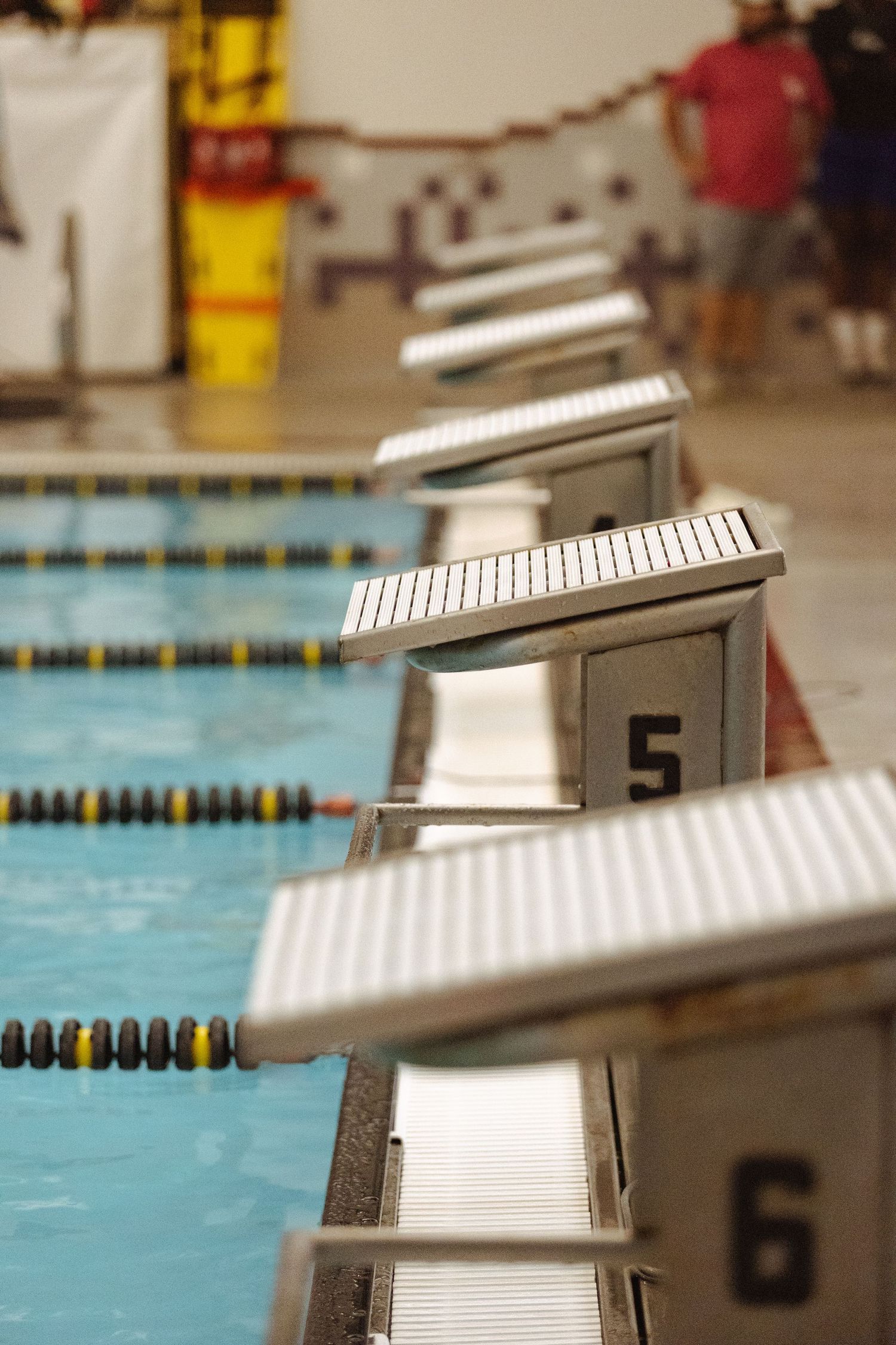 Numbered starting blocks lined up along indoor competitive swimming pool lanes.