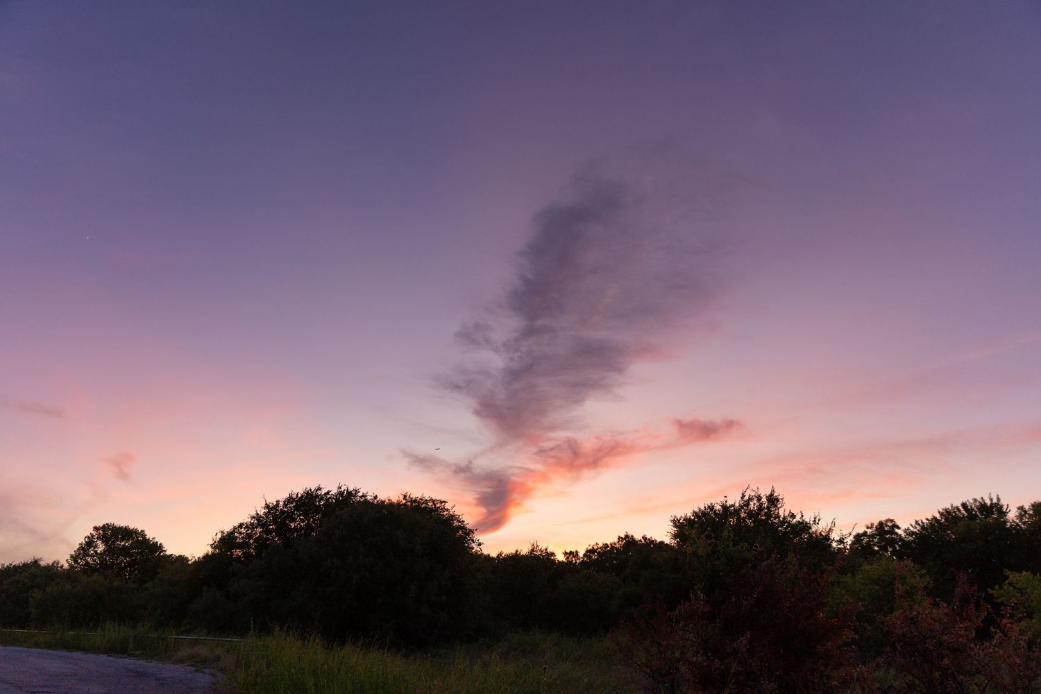 Wispy dark cloud glows pink and orange in a purple twilight sky above a silhouetted tree line and a quiet country road.