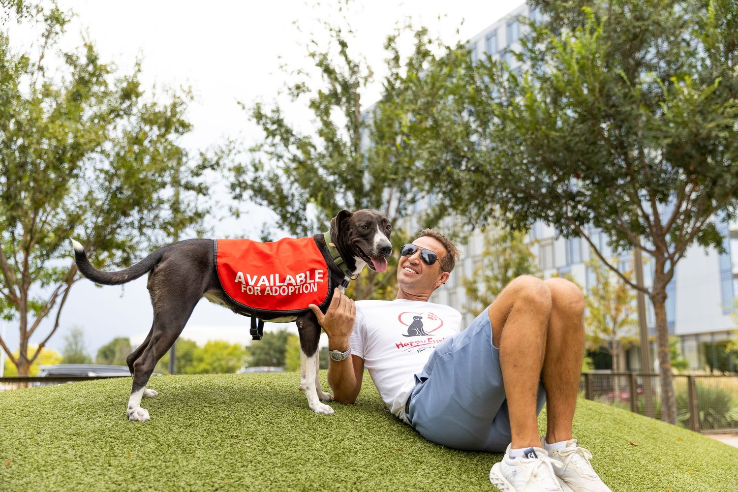 Man sitting on grass interacting with a dog wearing a red Available for Adoption vest in an outdoor park.