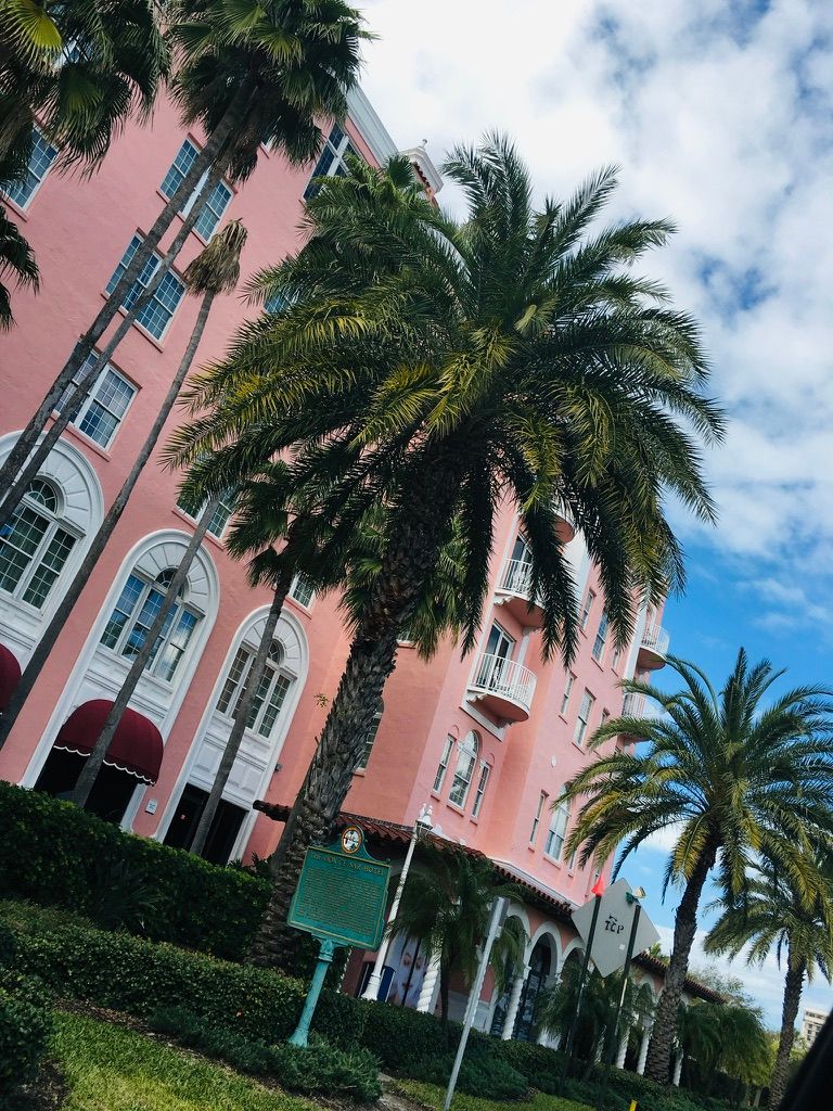 Historic pink hotel building surrounded by tall palm trees against a partly cloudy blue sky.