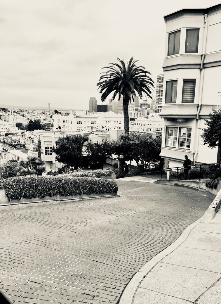 Black and white aerial view of Lombard Street in San Francisco with palm trees and city skyline.