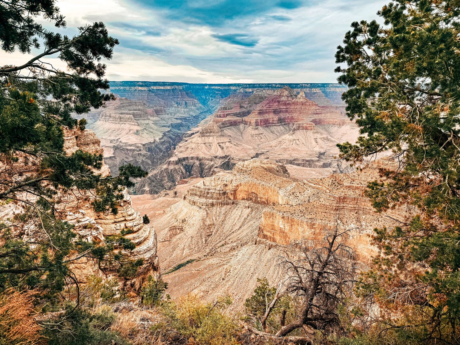 Grand Canyon's colorful layered rock formations framed by pine tree branches under cloudy sky.