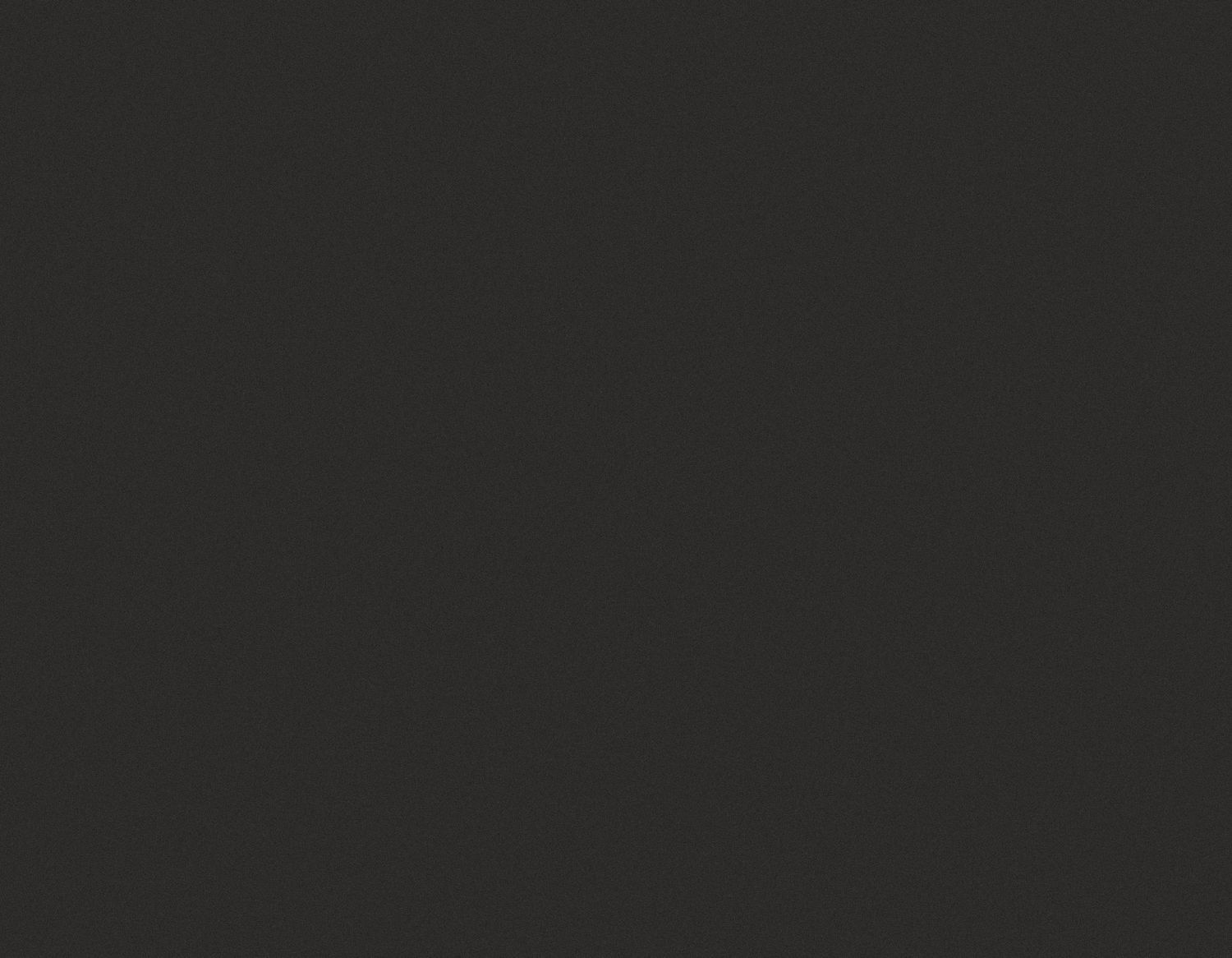 Grey grainy texture part of the branding for Fantasma Imagery.
