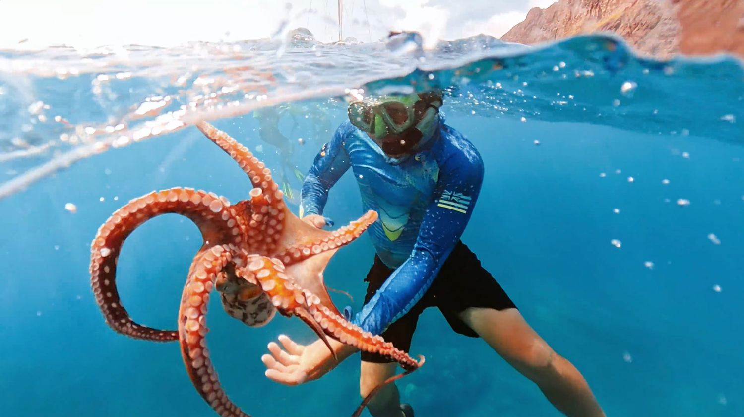 Underwater photo of a man snorkeling and holding an octopus