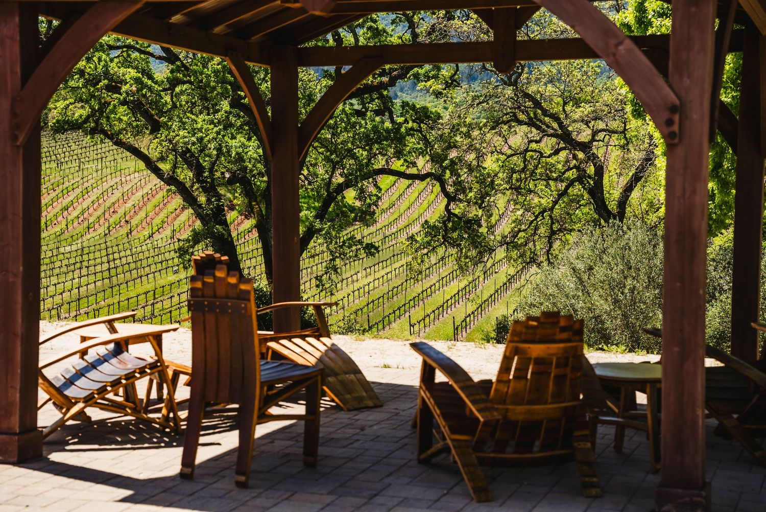 B.R. Chon winery vinyard