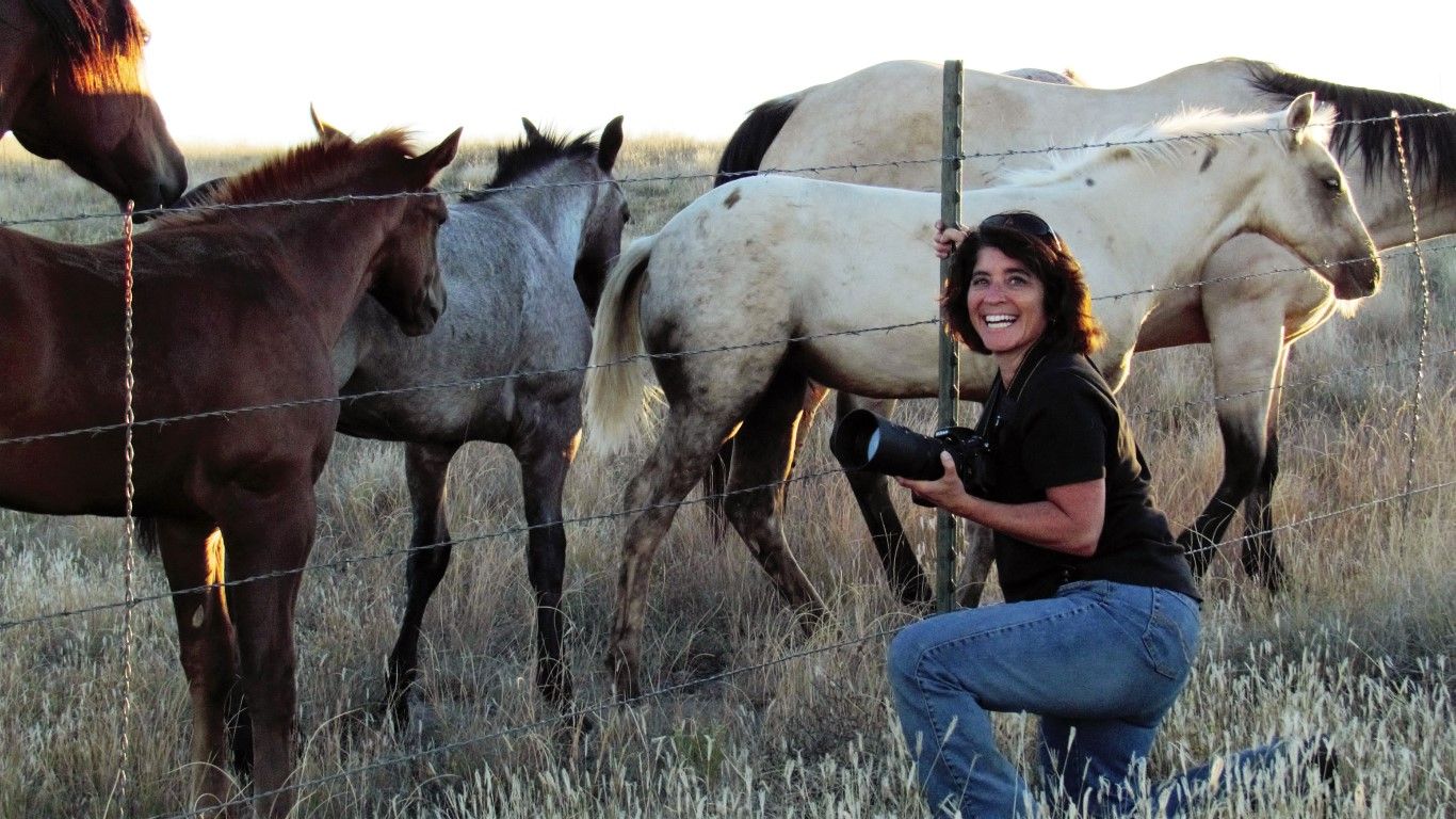 Photographer, Jody Miller crouching near young foals and horses behind a fence in an open field at dusk.
