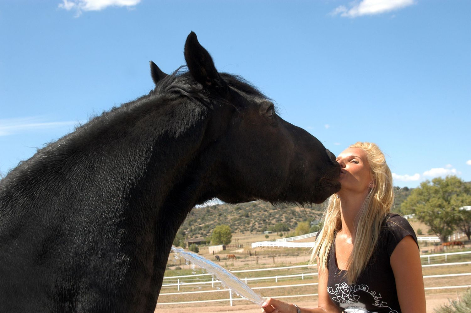 A blonde woman shares a tender moment kissing a black horse outdoors at a sunny equestrian facility.