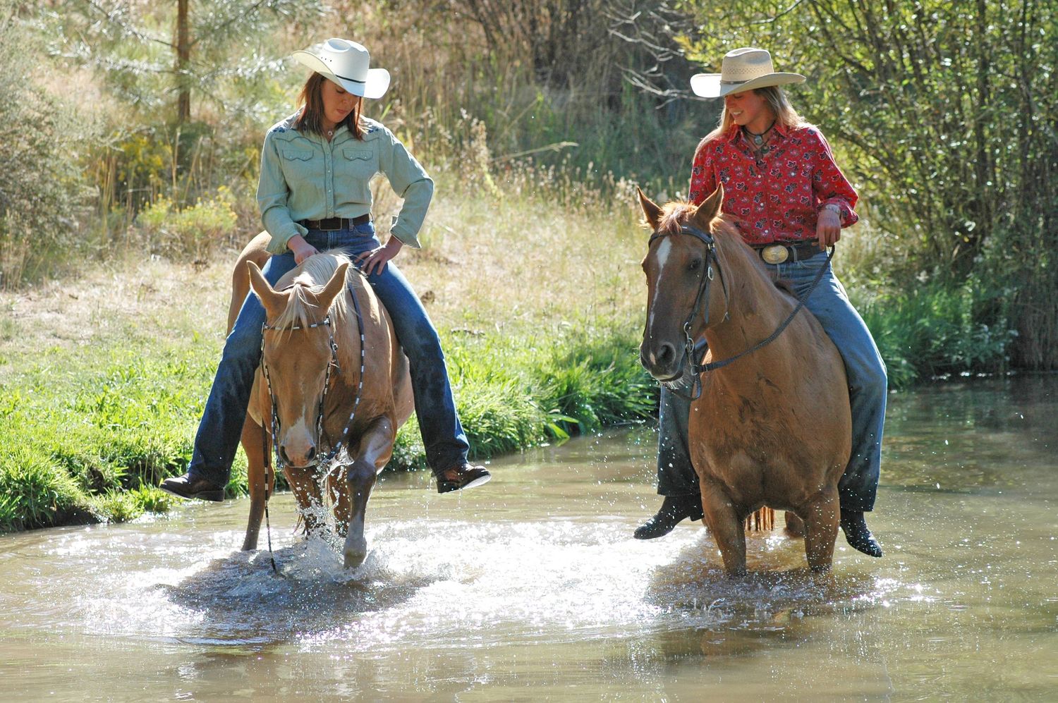 Two cowgirls in white hats ride horses through a shallow stream surrounded by lush green trees.