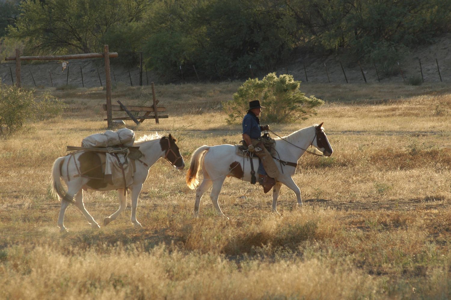 A cowboy rides a white and brown paint horse while leading a pack horse through dry golden grasslands.