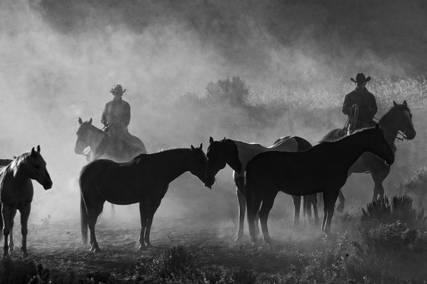 Two cowboys on horseback manage a group of horses in a misty, atmospheric black and white photograph.