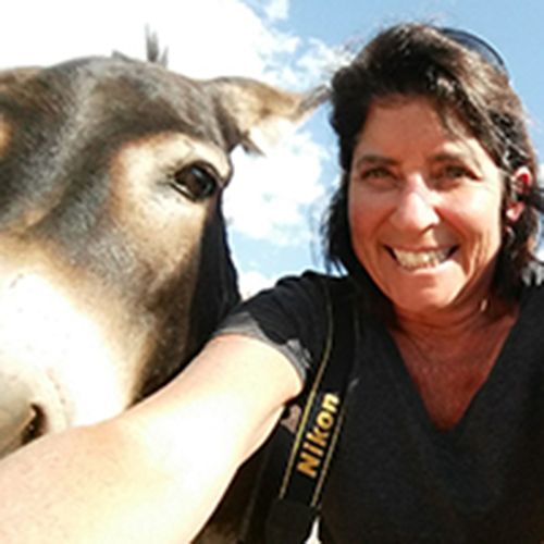 Photographer Jody Miller with a donkey