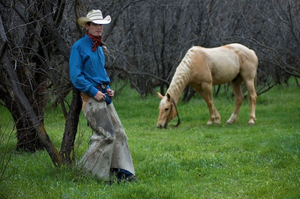 A cowboy in chaps and a white hat leans against a tree while a palomino horse grazes nearby.