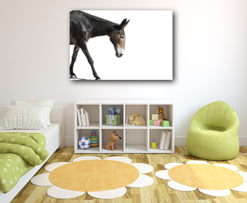 A dark horse walking across a white background in a canvas print hanging above a white cubby shelf in a colorful kids room.