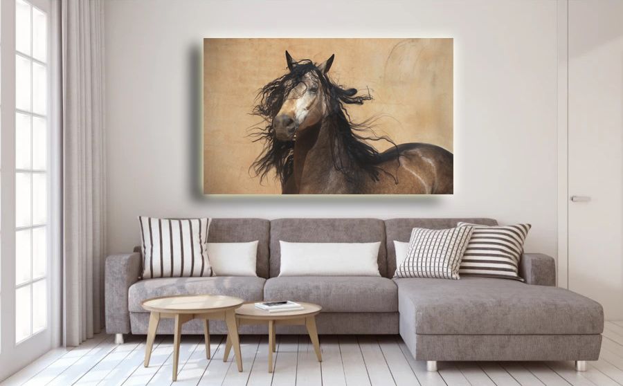 Spanish Stallion Horse Art on the living room wall