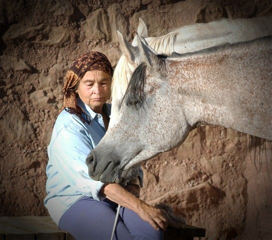 A woman in a blue shirt tenderly embraces a white horse against a rustic stone wall background.