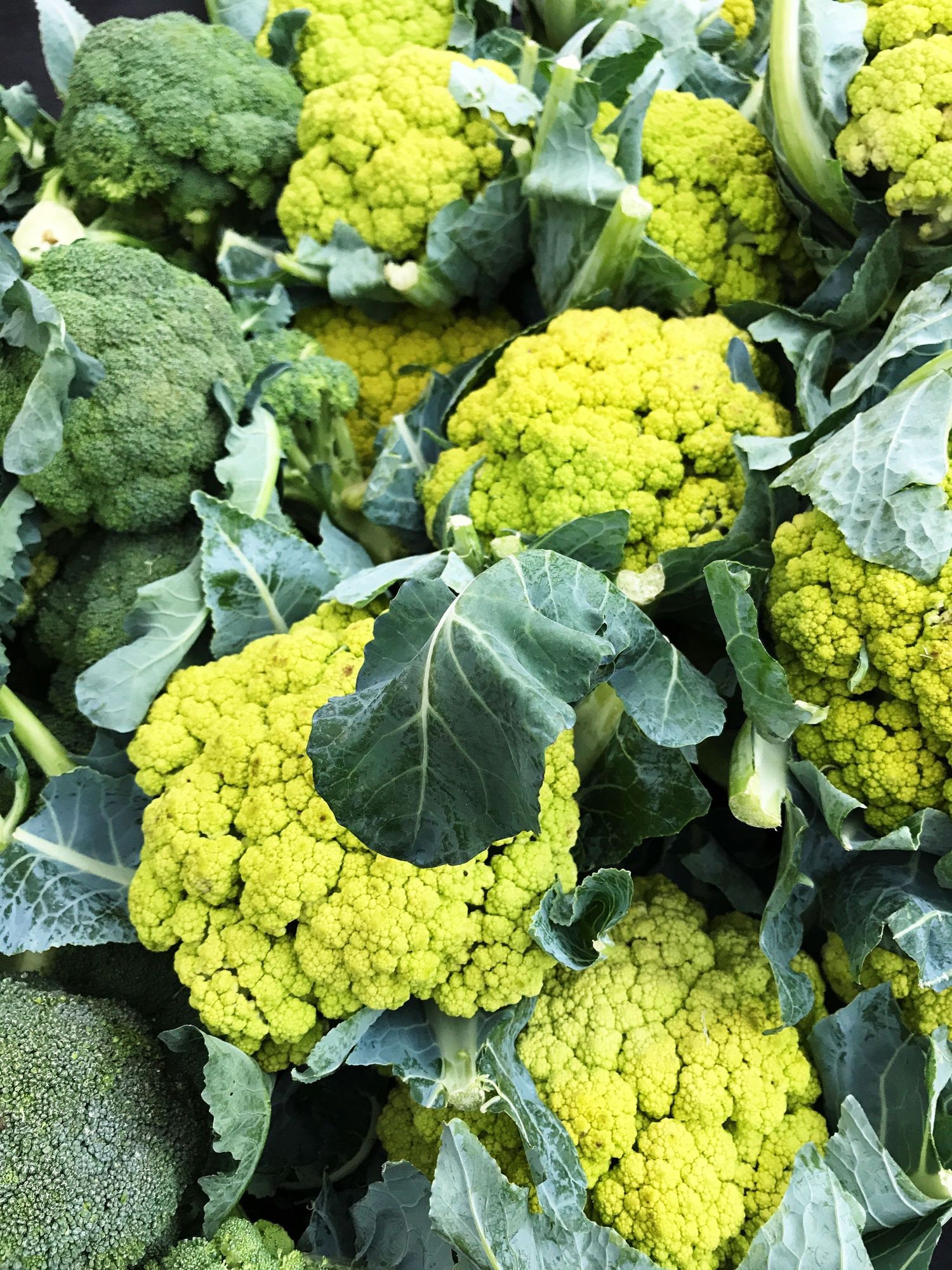 Fresh yellow-green cauliflower and broccoli heads with leaves displayed at a farmers market.