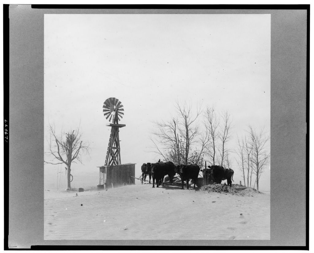 A vintage black and white photograph shows cattle and a windmill silhouetted on a snowy hilltop horizon.