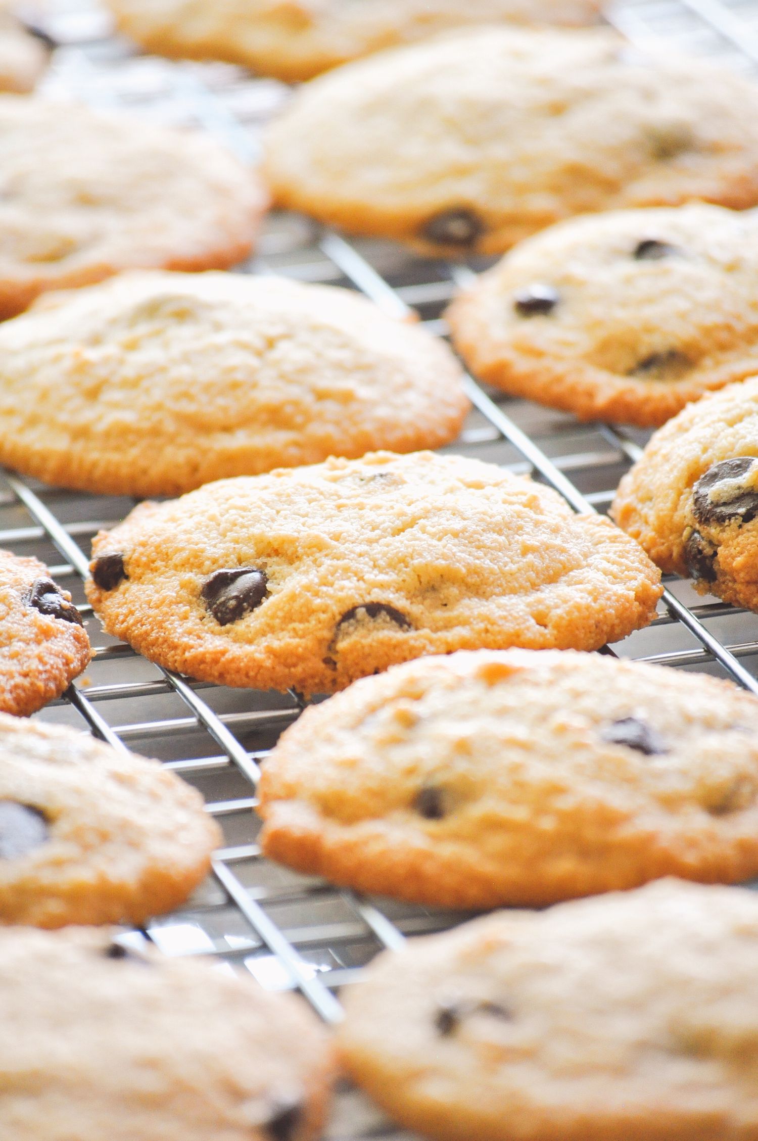 Chocolate chip cookies cooling on a wire rack with melty chips visible.