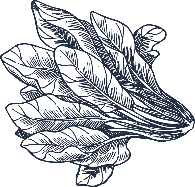 Hand-drawn black and white illustration of elegant feathers arranged in a decorative pattern.