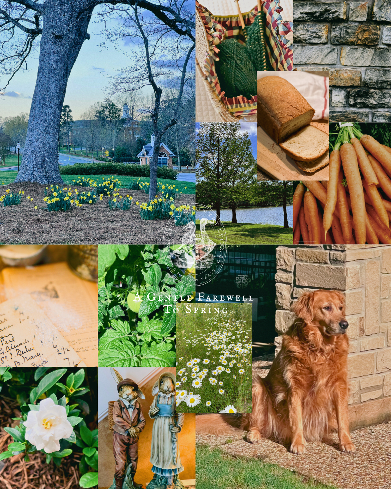 Collage of garden scenes with flowers, bread, carrots, handwriting and a golden retriever by stone wall.