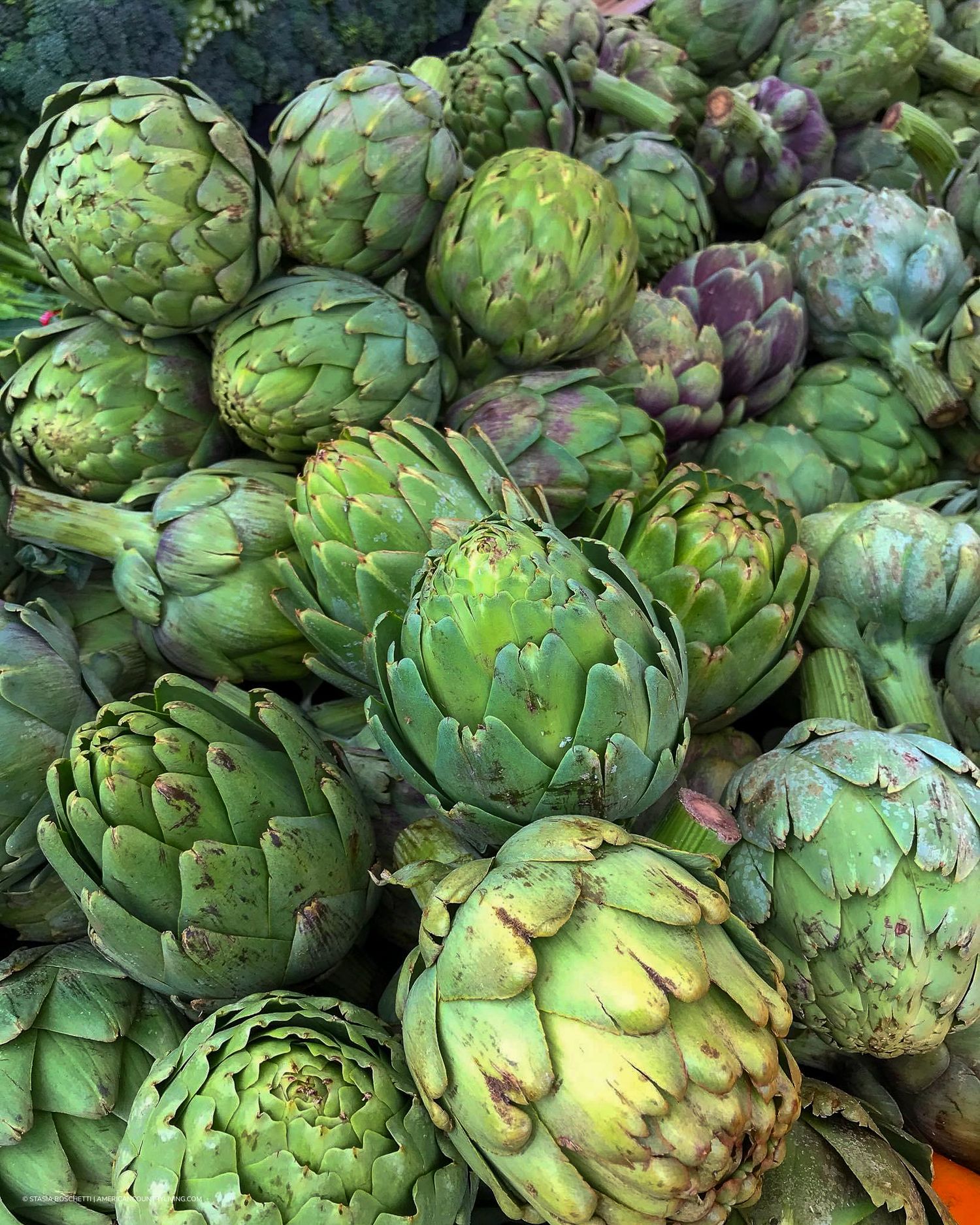 Fresh green artichokes piled high at a farmers market, showcasing their vibrant color and layered leaves.