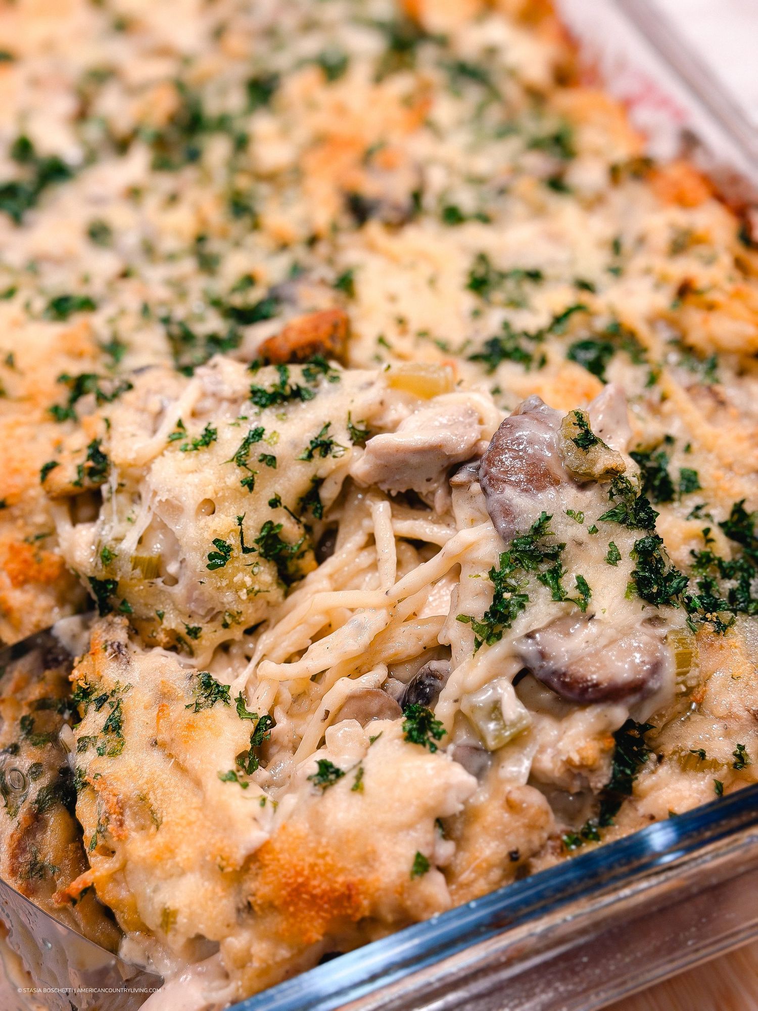 Golden baked chicken mushroom casserole topped with melted cheese and fresh parsley in a glass dish.