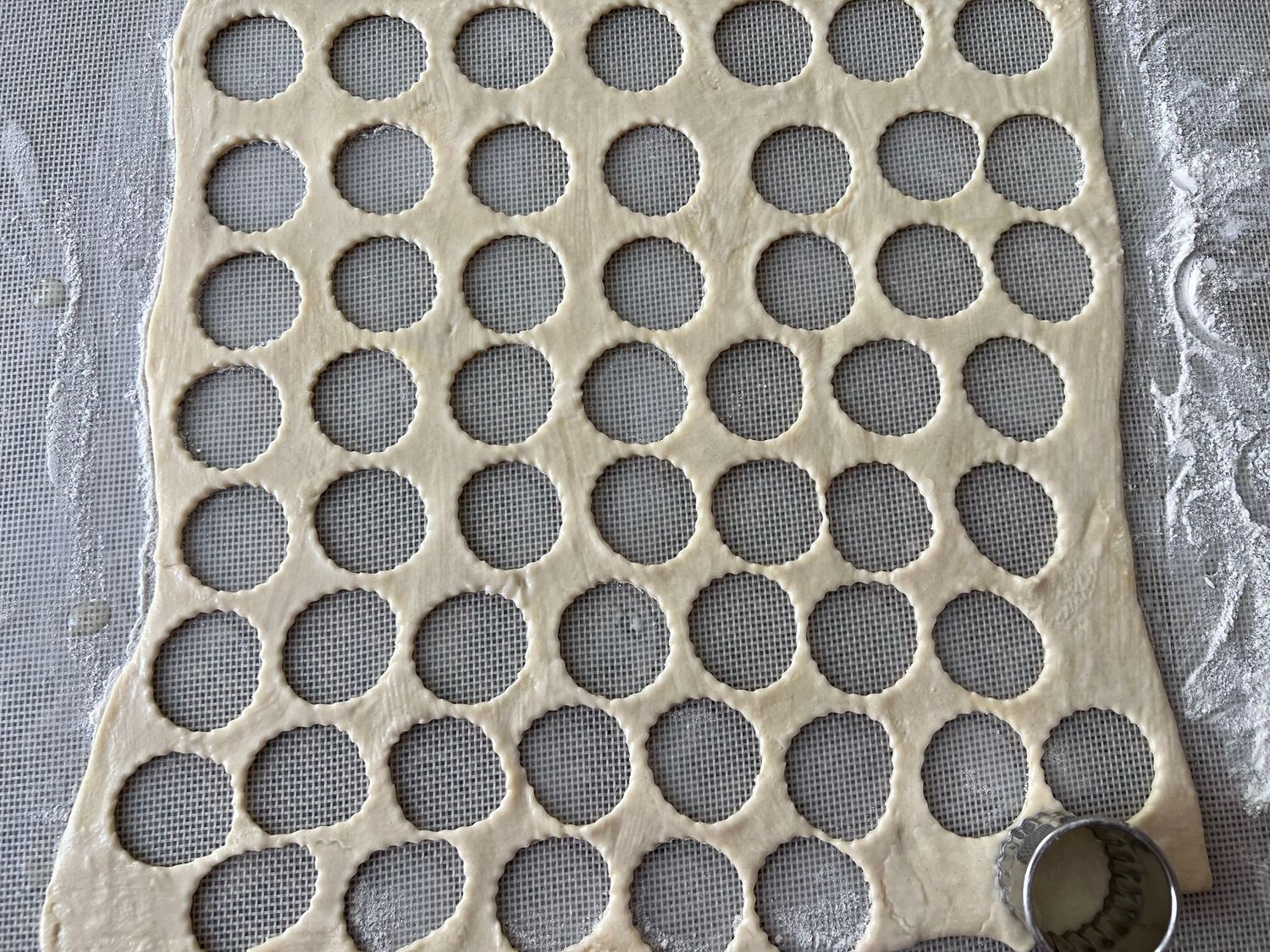 Pastry dough with uniform circular cutouts arranged in neat rows.