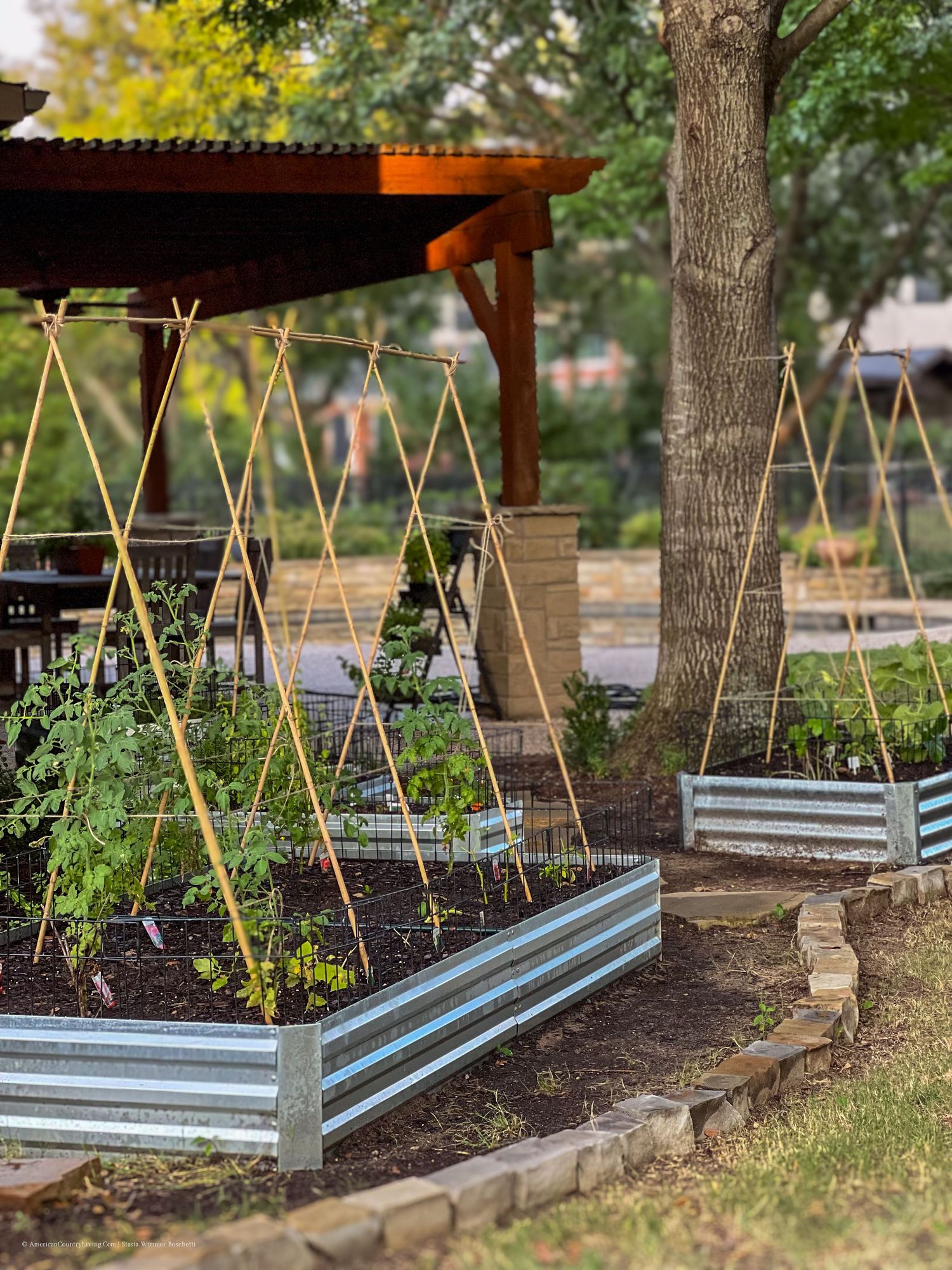 Tiered garden beds with bamboo supports and fresh soil ready for planting.