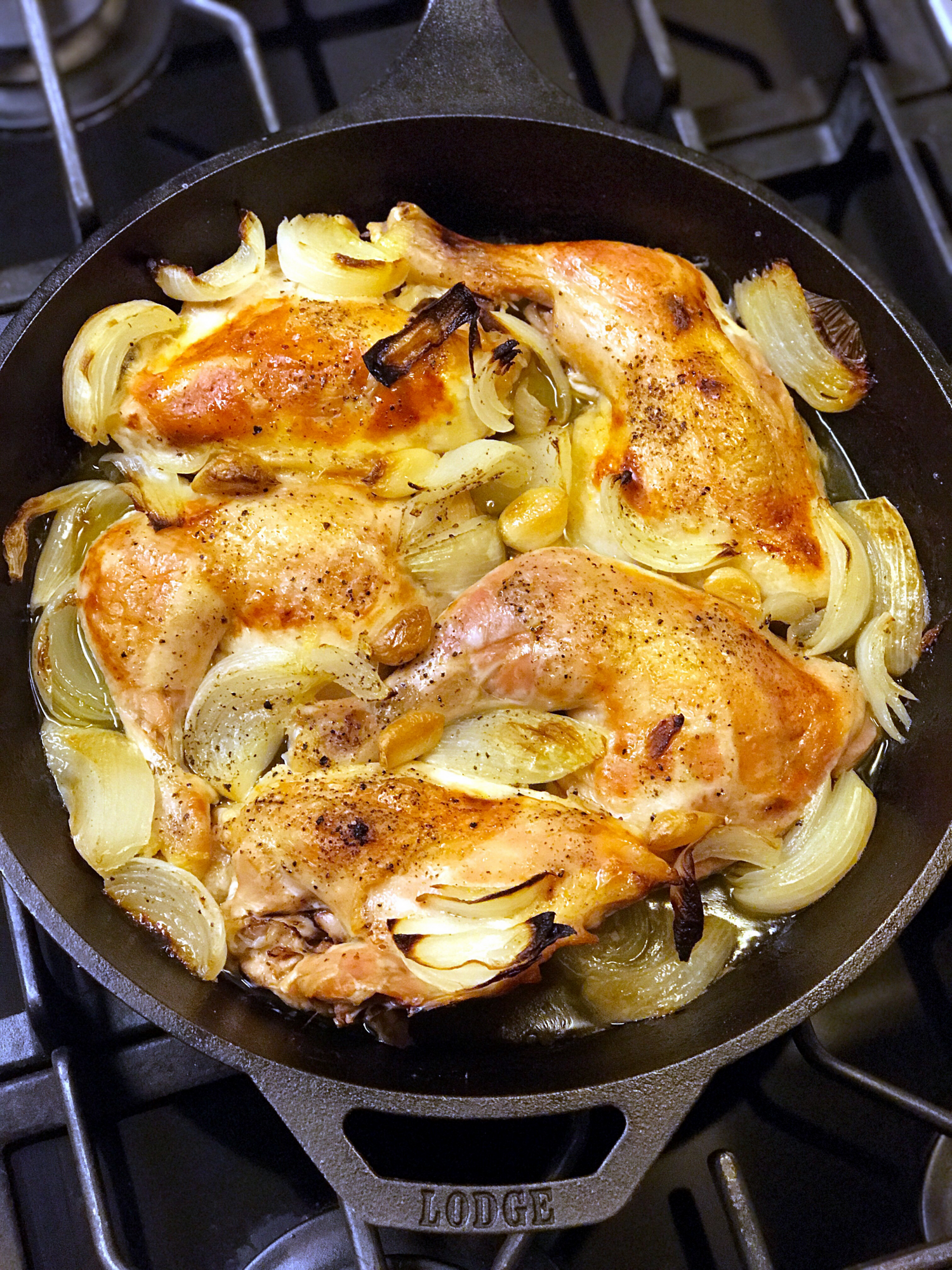 Golden roasted chicken thighs with sauteed onions and artichokes in a Lodge cast iron skillet.