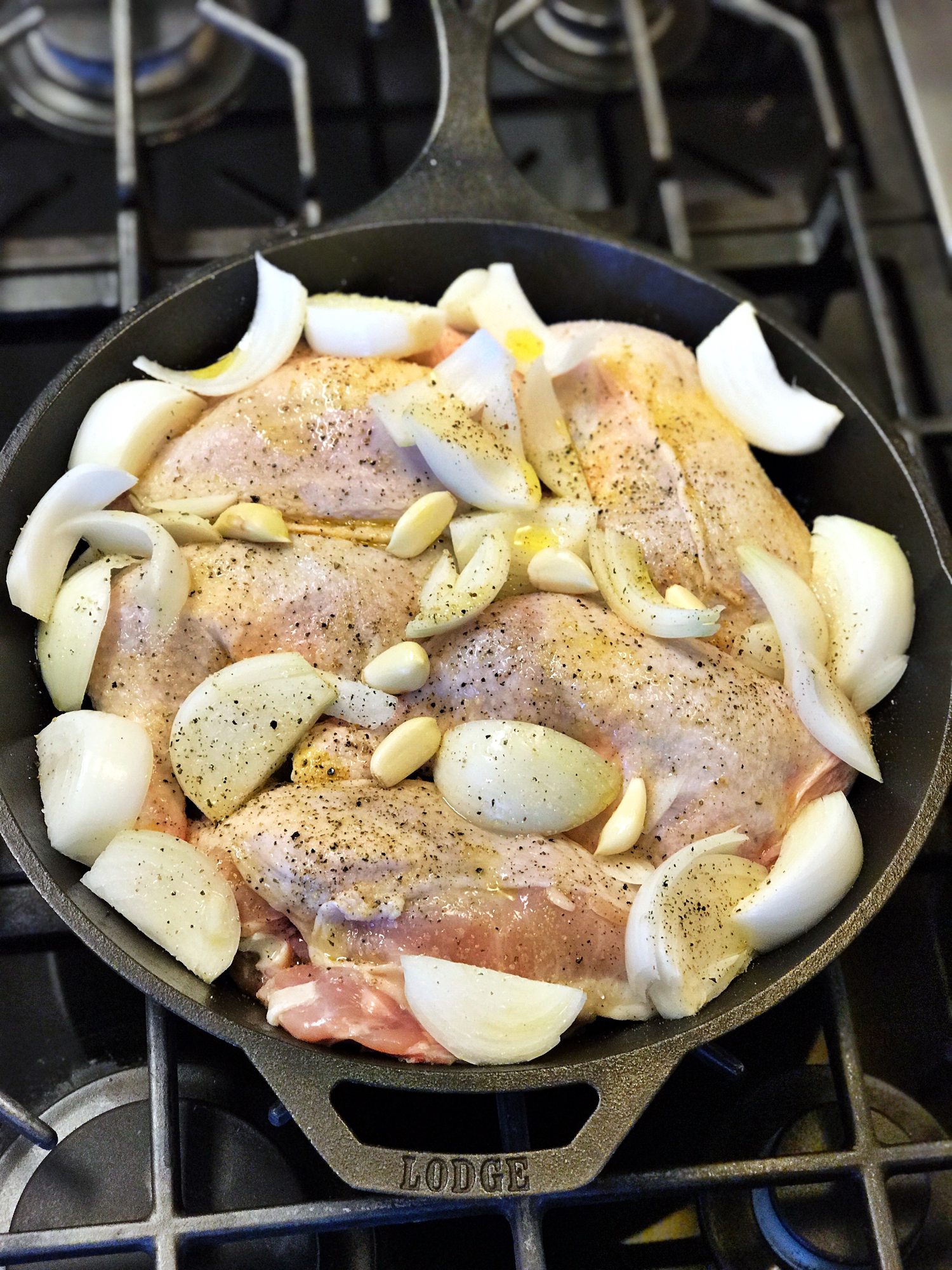 Raw chicken and onions seasoned with herbs in a Lodge cast iron skillet before cooking.