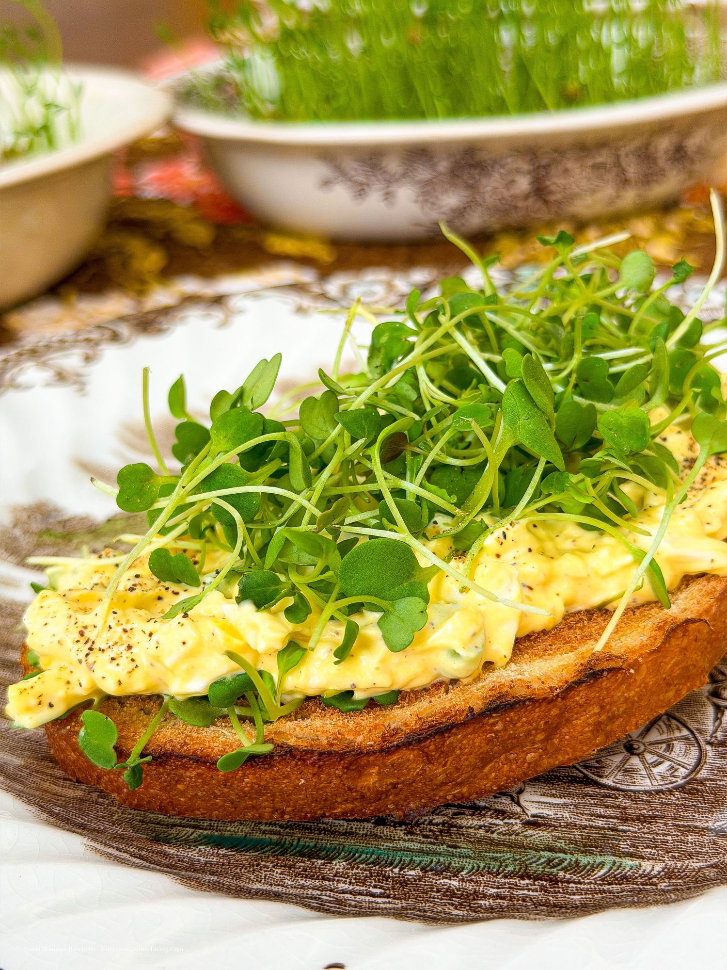 Scrambled eggs on toasted bread topped with fresh microgreens on a decorative plate.