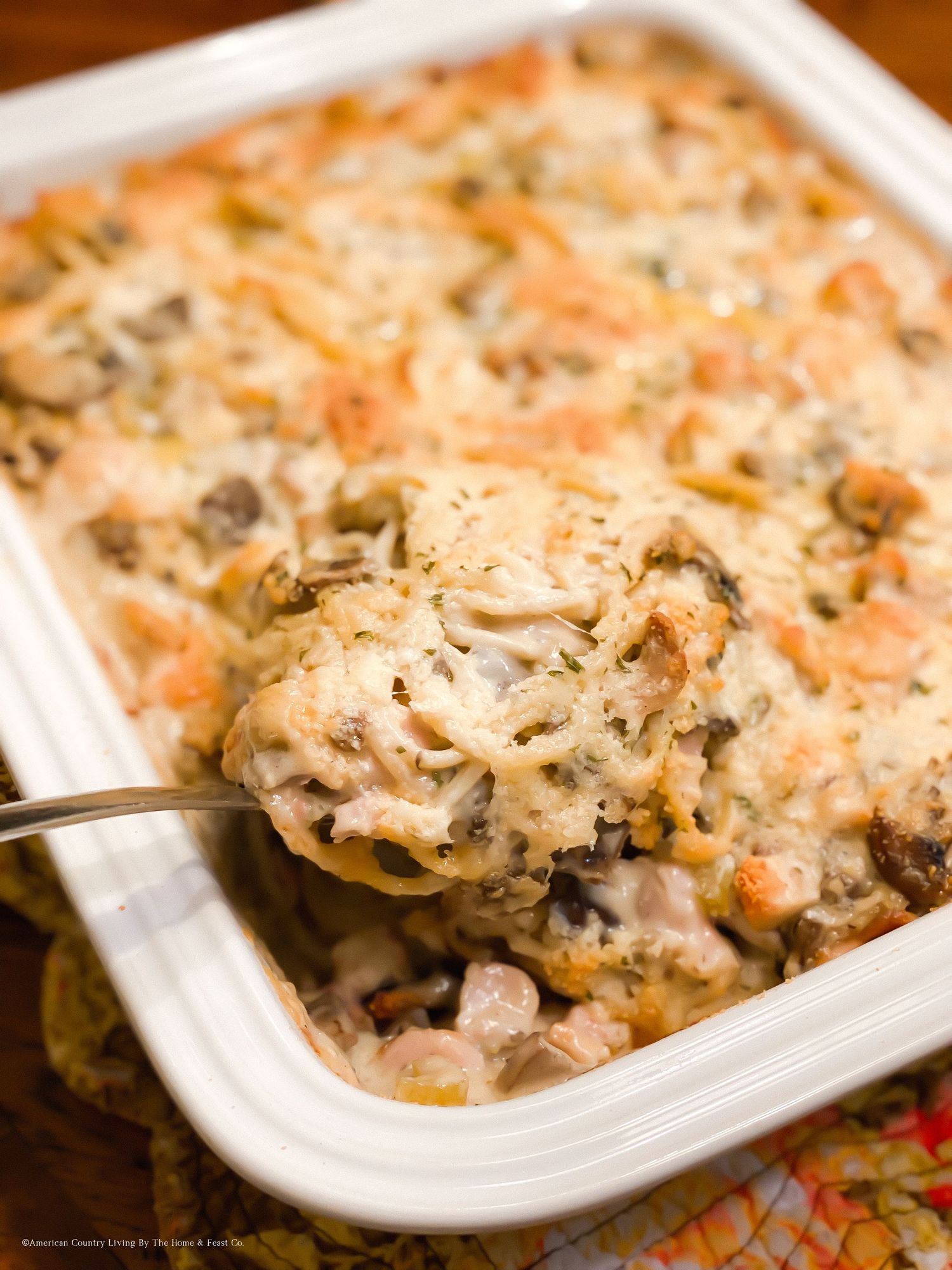 Creamy casserole dish with melted cheese and mushrooms baked until golden brown in a white ceramic dish.