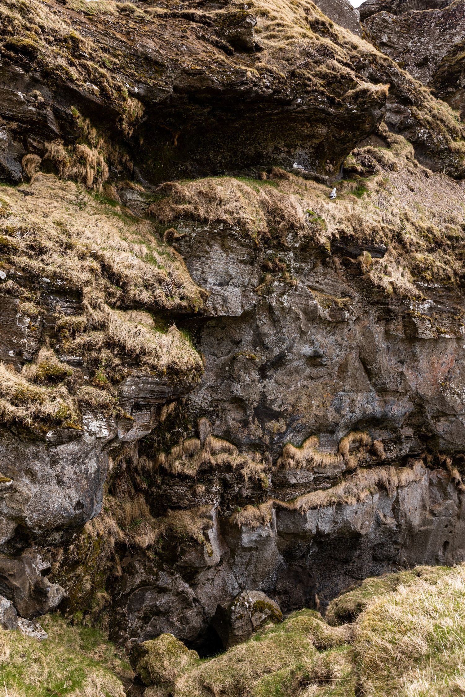 Scenic photo of a troll cave along Route 1 in southern Iceland, with seagulls soaring overhead and a woman in a red coat hiking a mountain