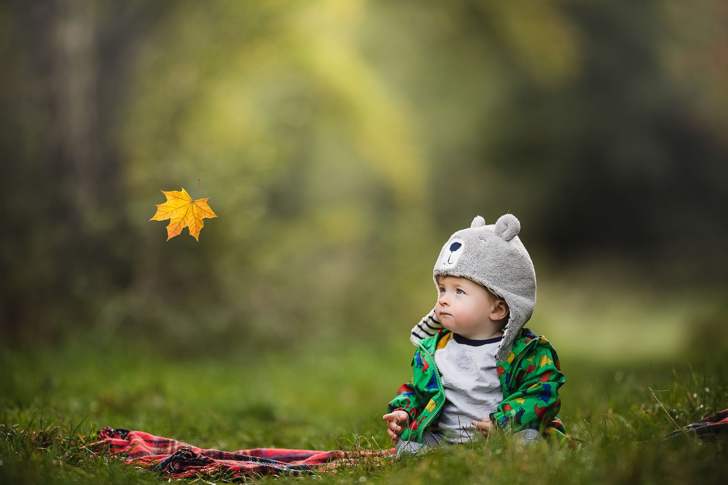 Baby in animal hat watching falling autumn leaf in outdoor nature setting.