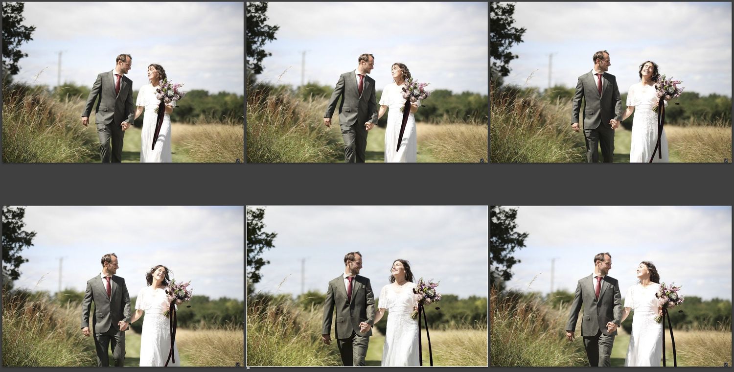 Six-panel photo grid showing bride and groom posing together in countryside field setting.