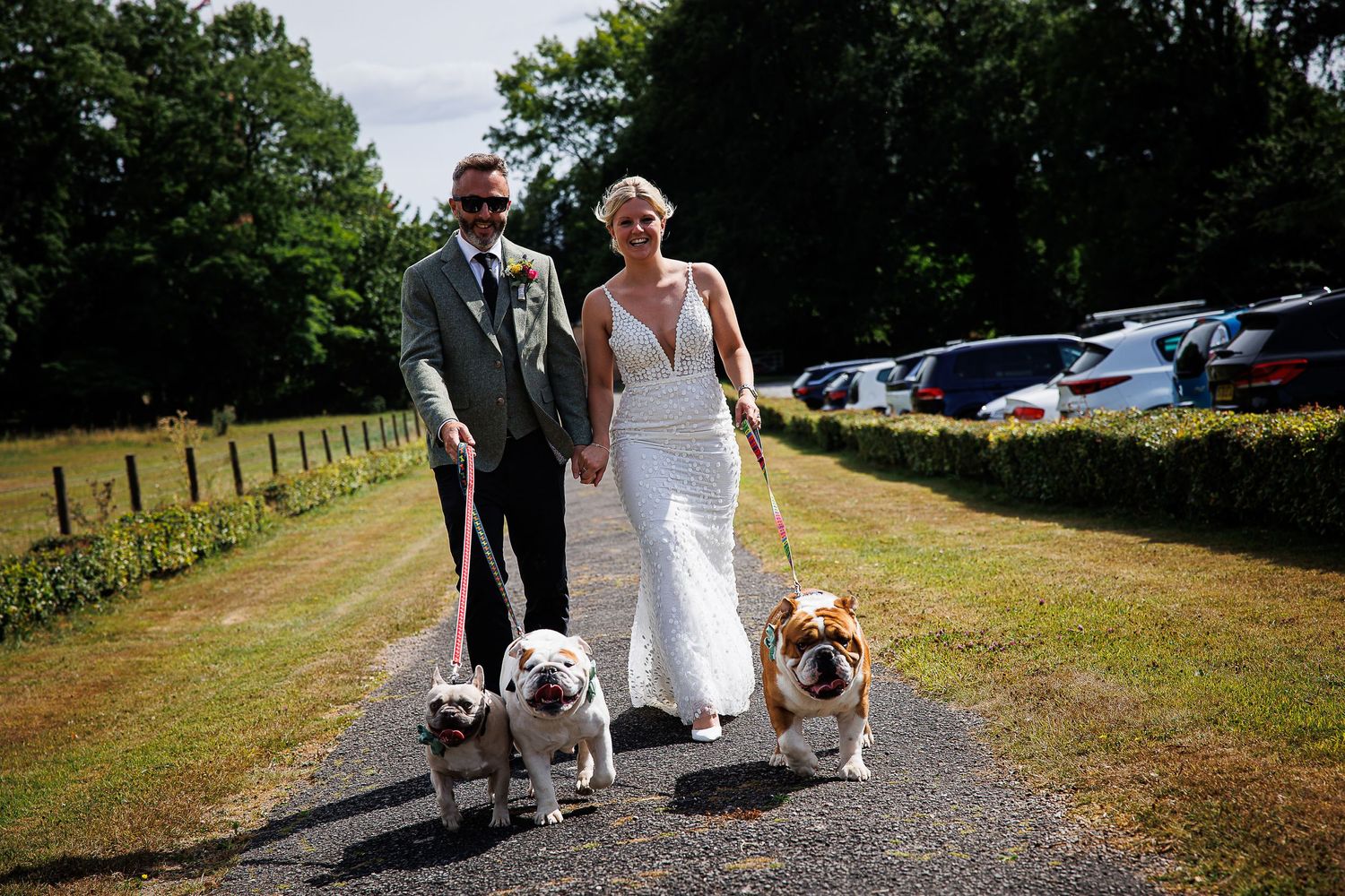 Wedding couple walks down country path with their three dogs on sunny day.