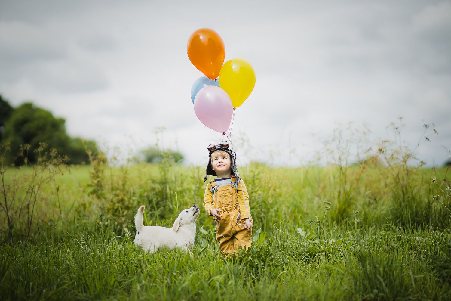 Colorful balloons float above a figure in yellow overalls standing in a grassy meadow with a white dog.