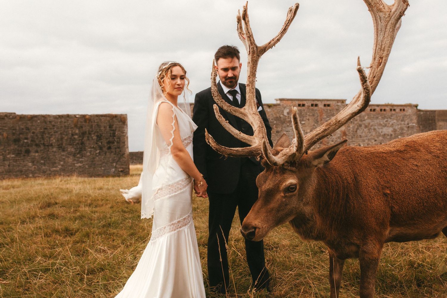 Photograph of Bride and groom next to a stag.