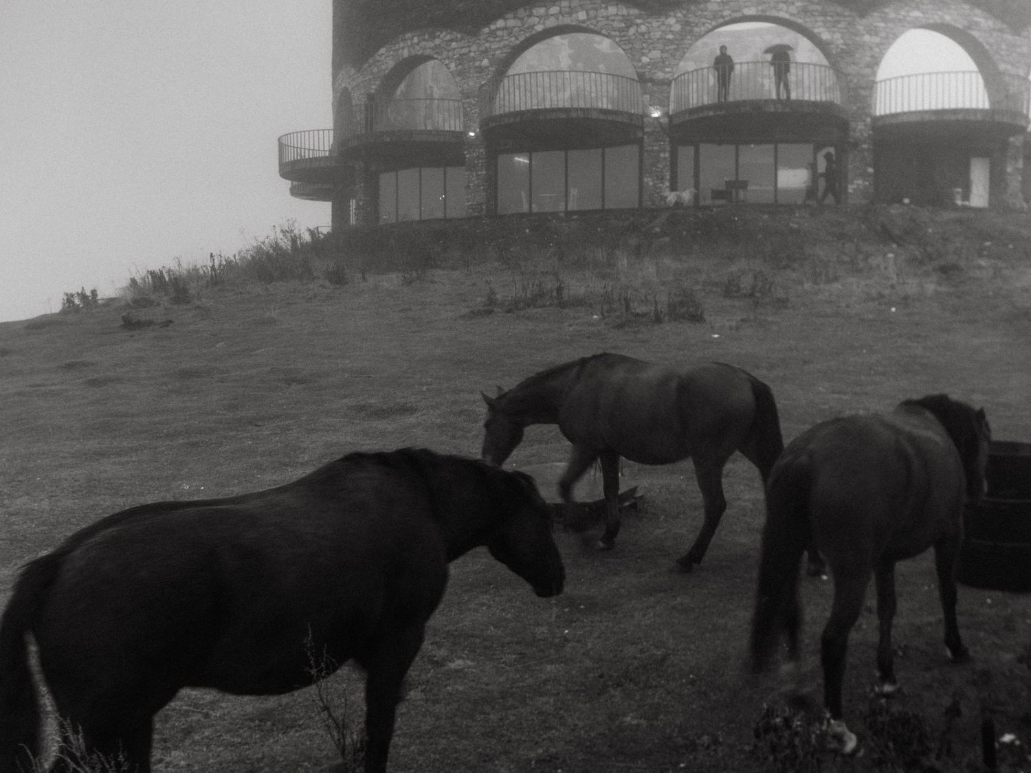 Black and white photograph of three horses walking up a hill on a foggy day, in front of the Russian-georgian friendship monument in Georgia