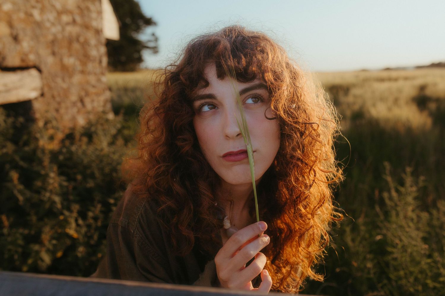 Model with red hair posing in a wheat field, the sun is shining through her curls - portrait session