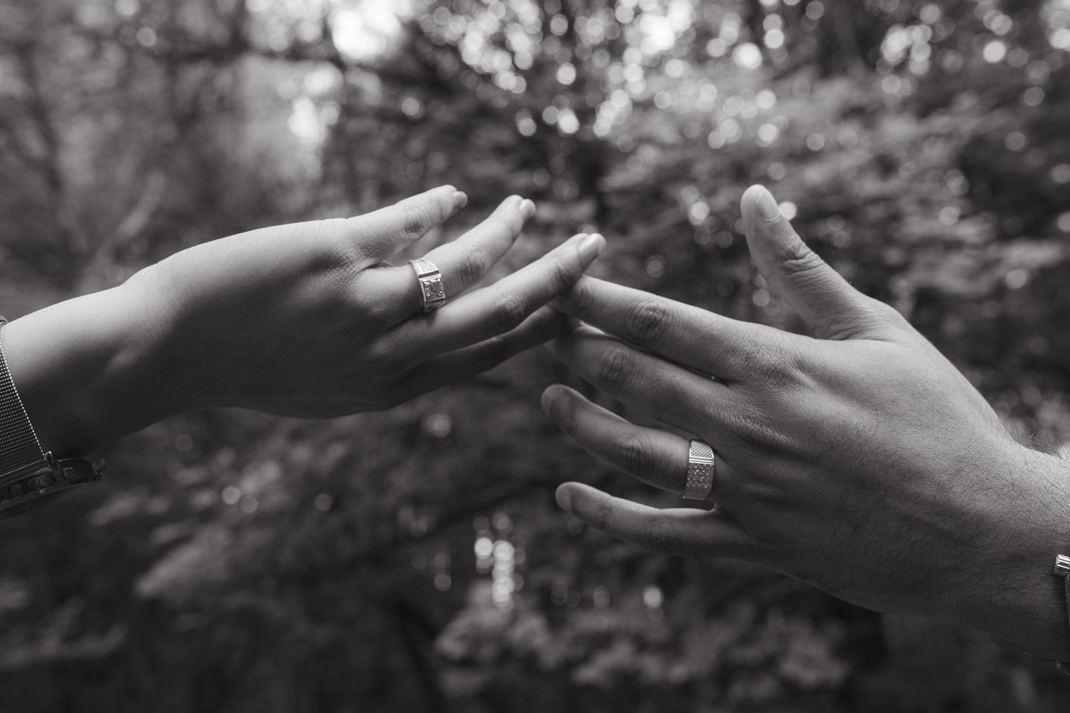 Black and white photo of hands reaching out for another