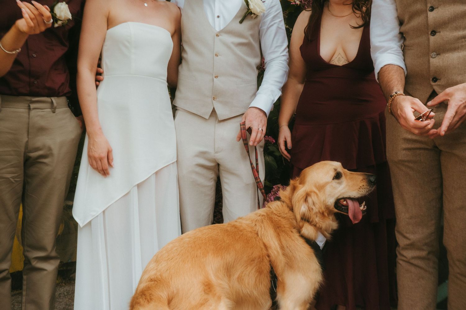Photograph of bridal party, focus is on a golden retriever.