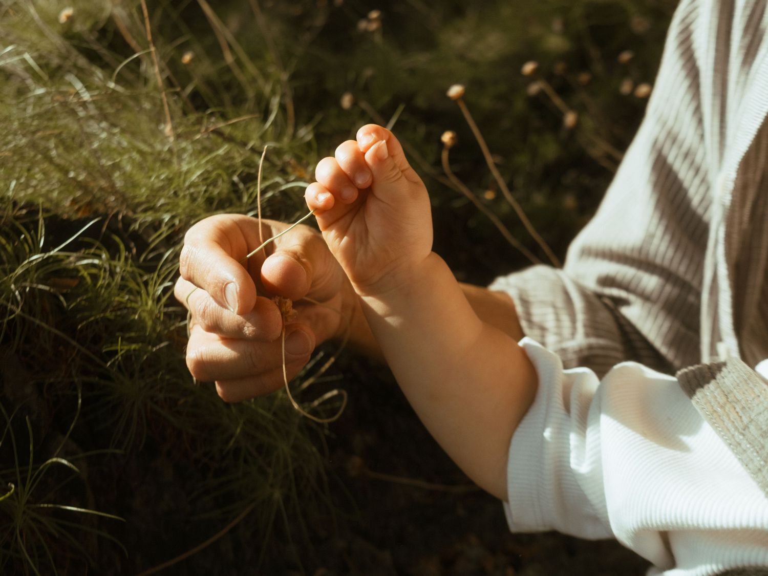 Close up of a dad and his babysitter hands playing with grass